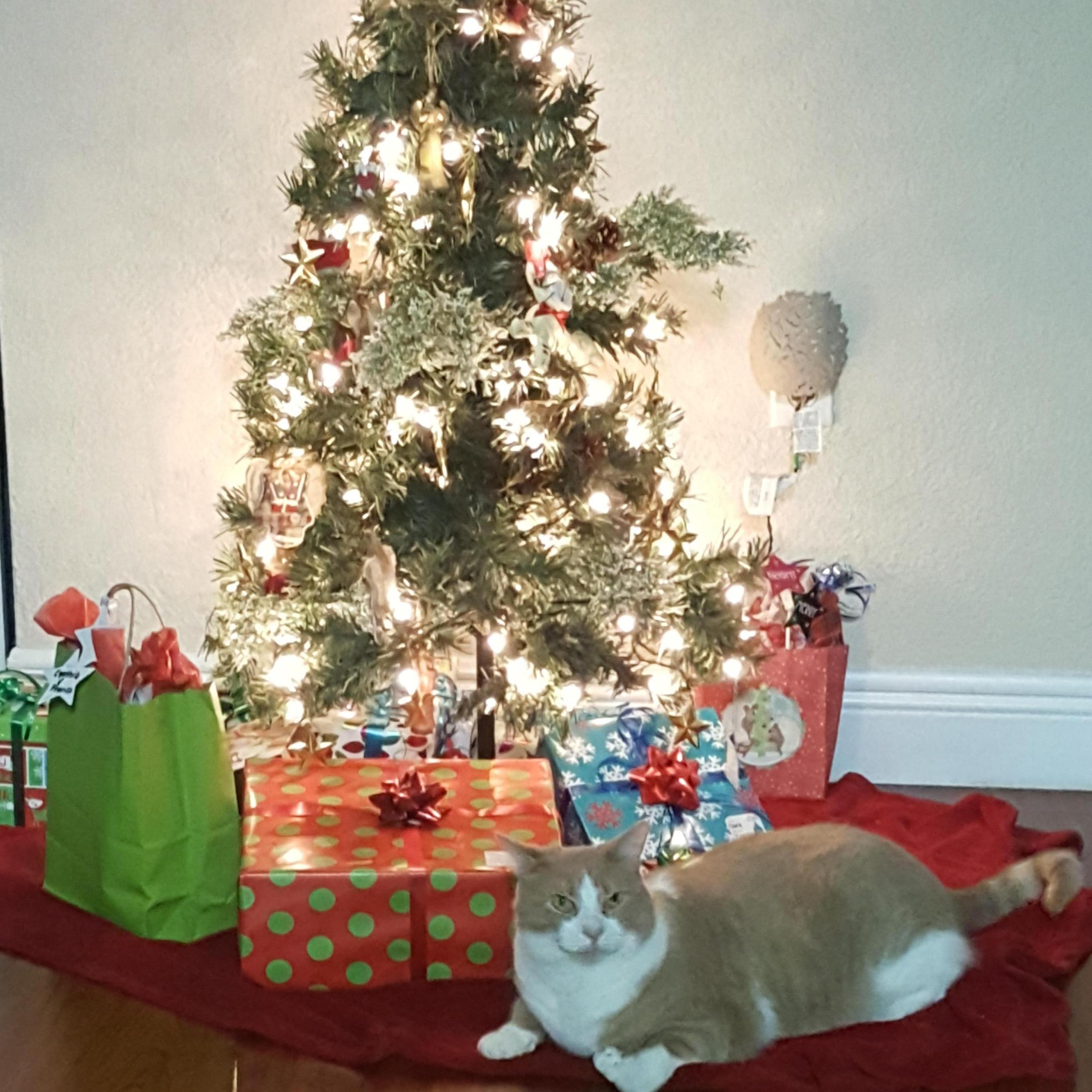 Our first Christmas!