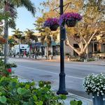 Shopping Boutiques