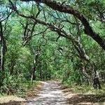 Guana Reserve Middle Beach