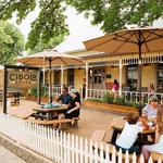 Cibolo Creek Brewing Co.