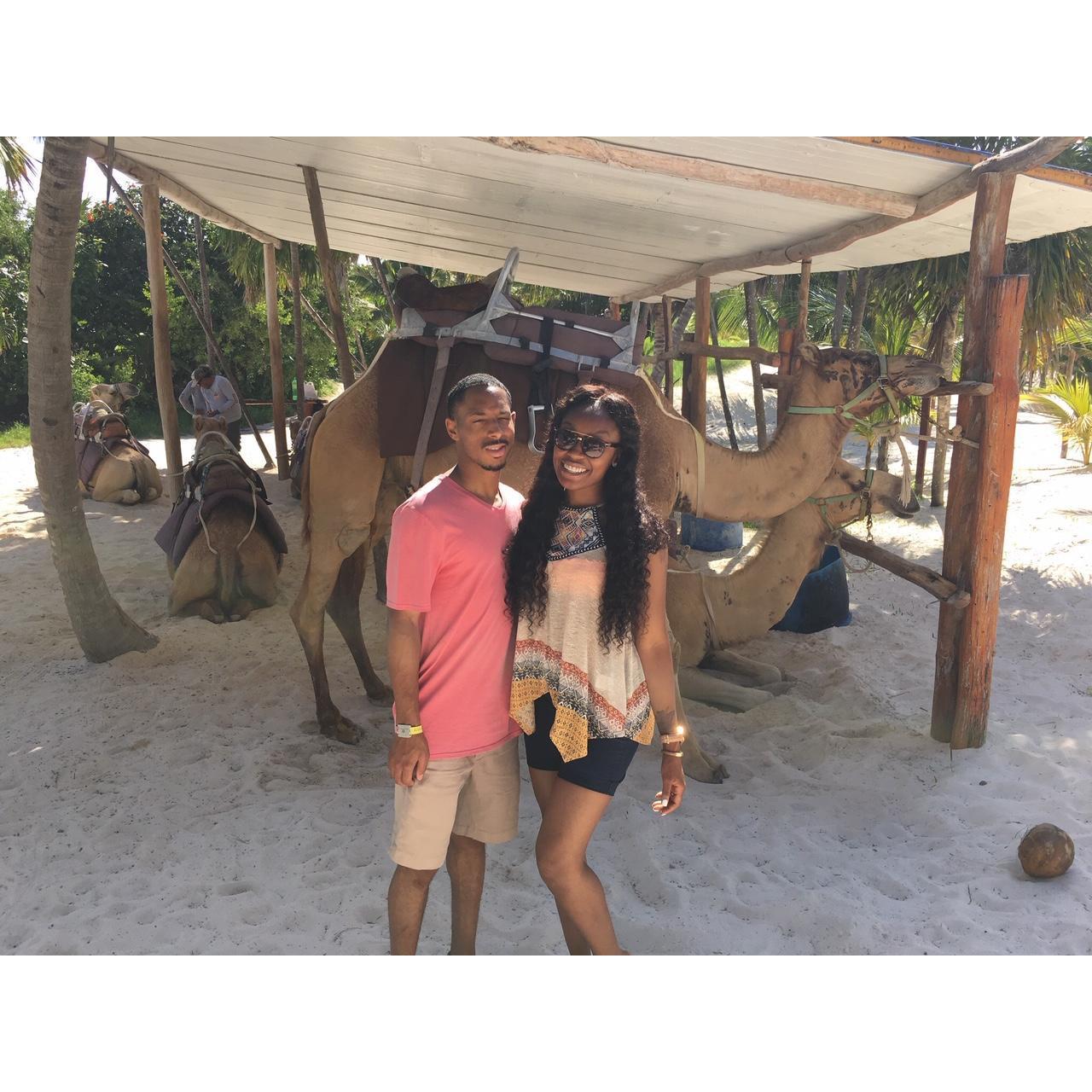 Camel Tour In Mexico