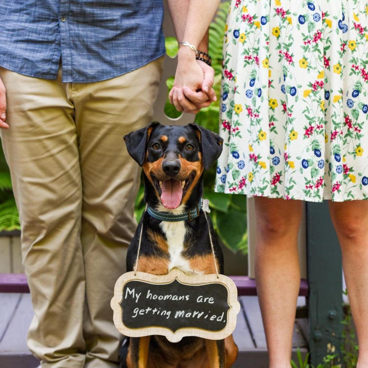 Annie was the real star of our engagement photos