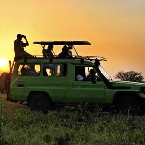 African Safari Driver - Honeymoon Fund