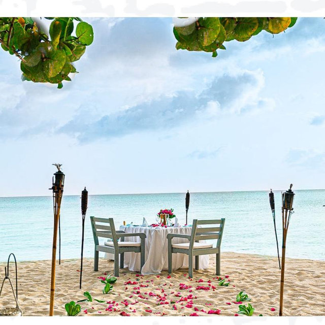 Honeymoon Beachfront Dinner