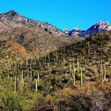 Mount Lemmon