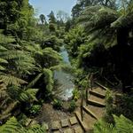 The Lost Gardens of Heligan