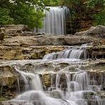 Tanyard Creek Nature Trail