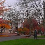 Fall Festivals in Corvallis