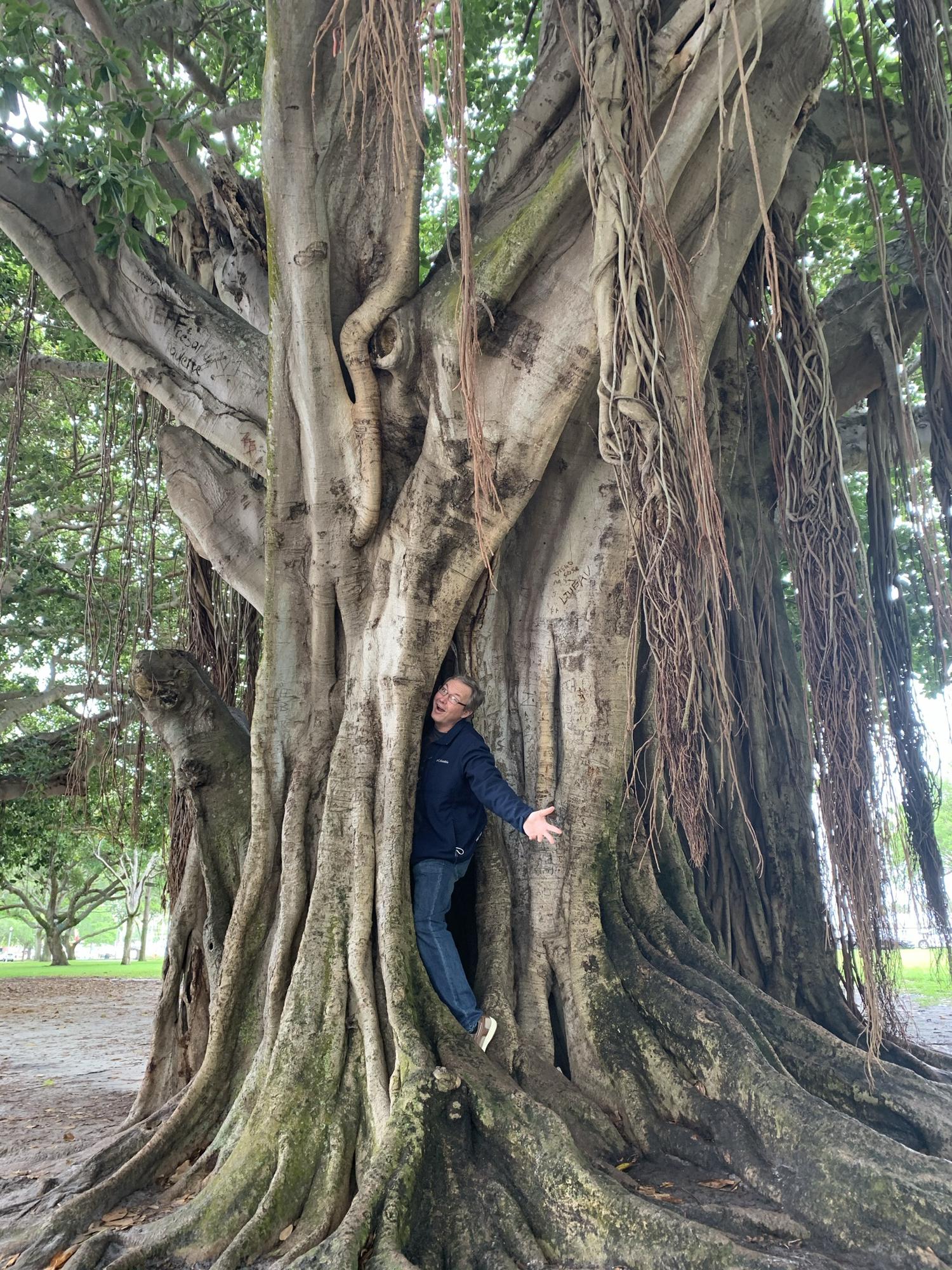 John being eaten by the tree. Lol