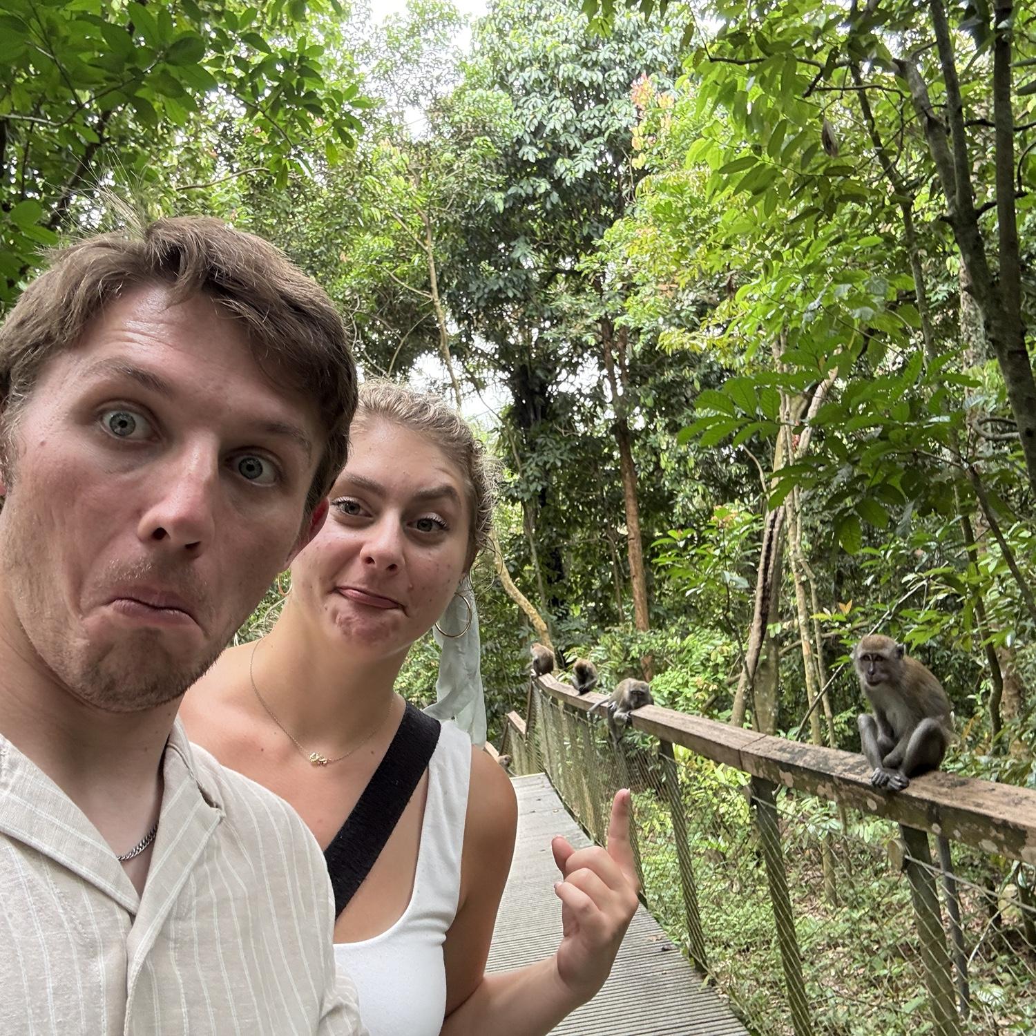 Monkey