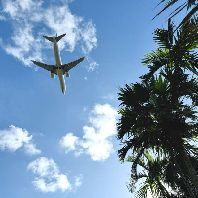 Airplane Tickets to our Honeymoon Destinstion