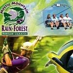 Mystic Mountain Rainforest
