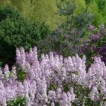 Arboretum & Botanical Garden