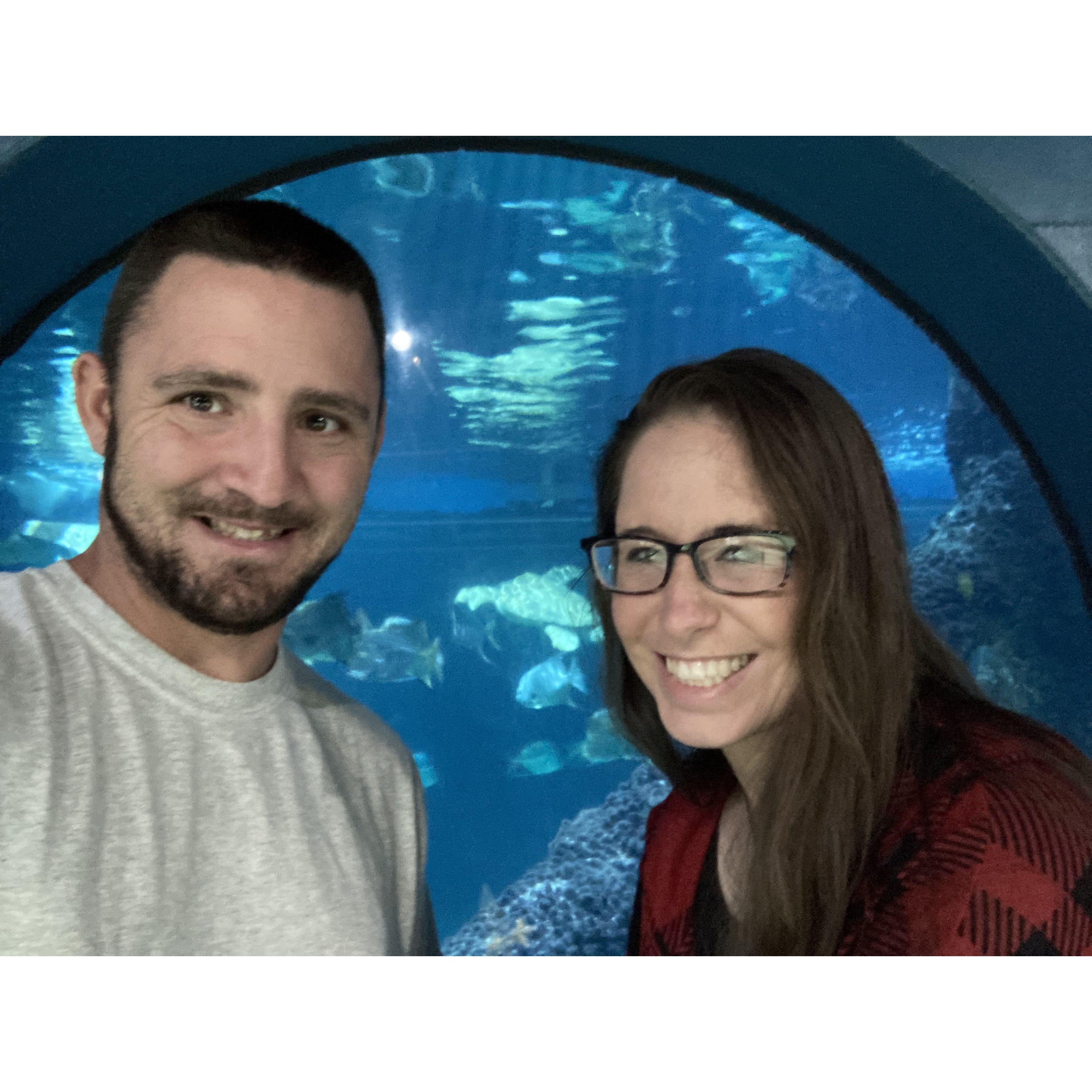 Virginia Aquarium of 2021 Virginia Beach!