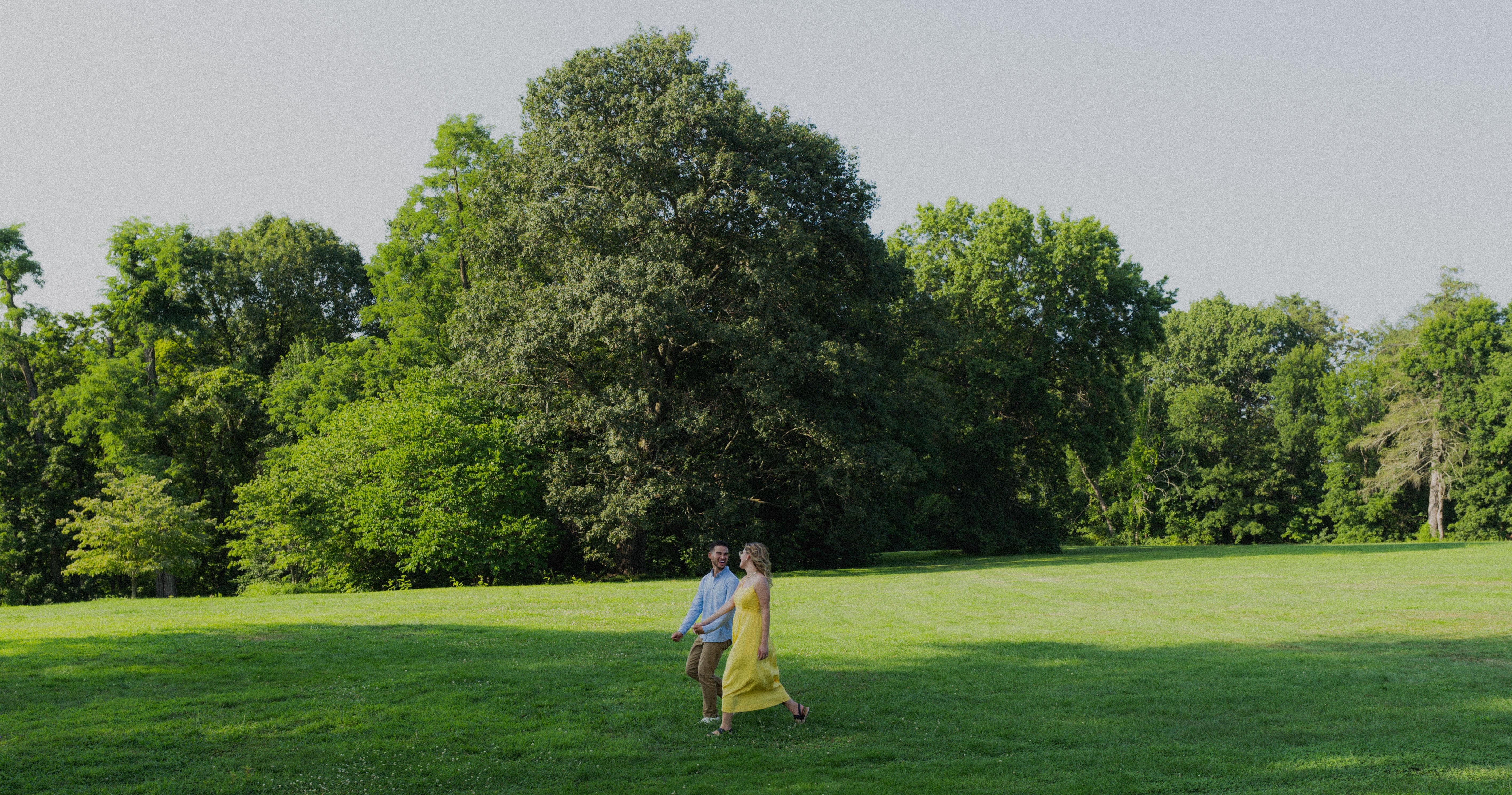 59ab1360-e828-4ba5-9812-0d1581c46afa