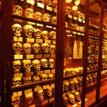 The Mütter Museum at The College of Physicians of Philadelphia