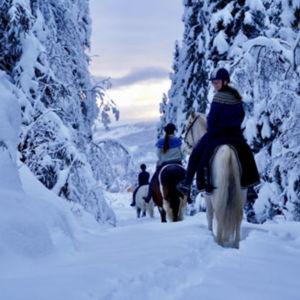 Horseback Riding On Our Honeymoon