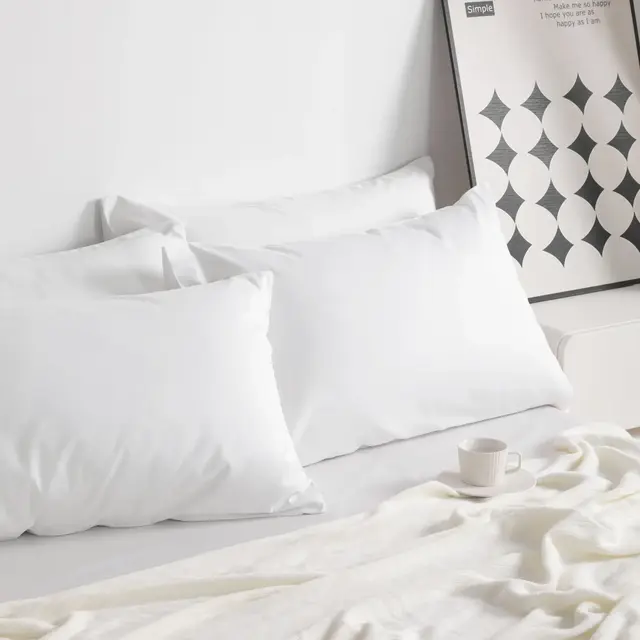 2 Pack Queen Cotton Pillowcases, Breathable and Soft Bed Pillow Cases with Envelope Closure, 20x30 Inches, White - NTBAY