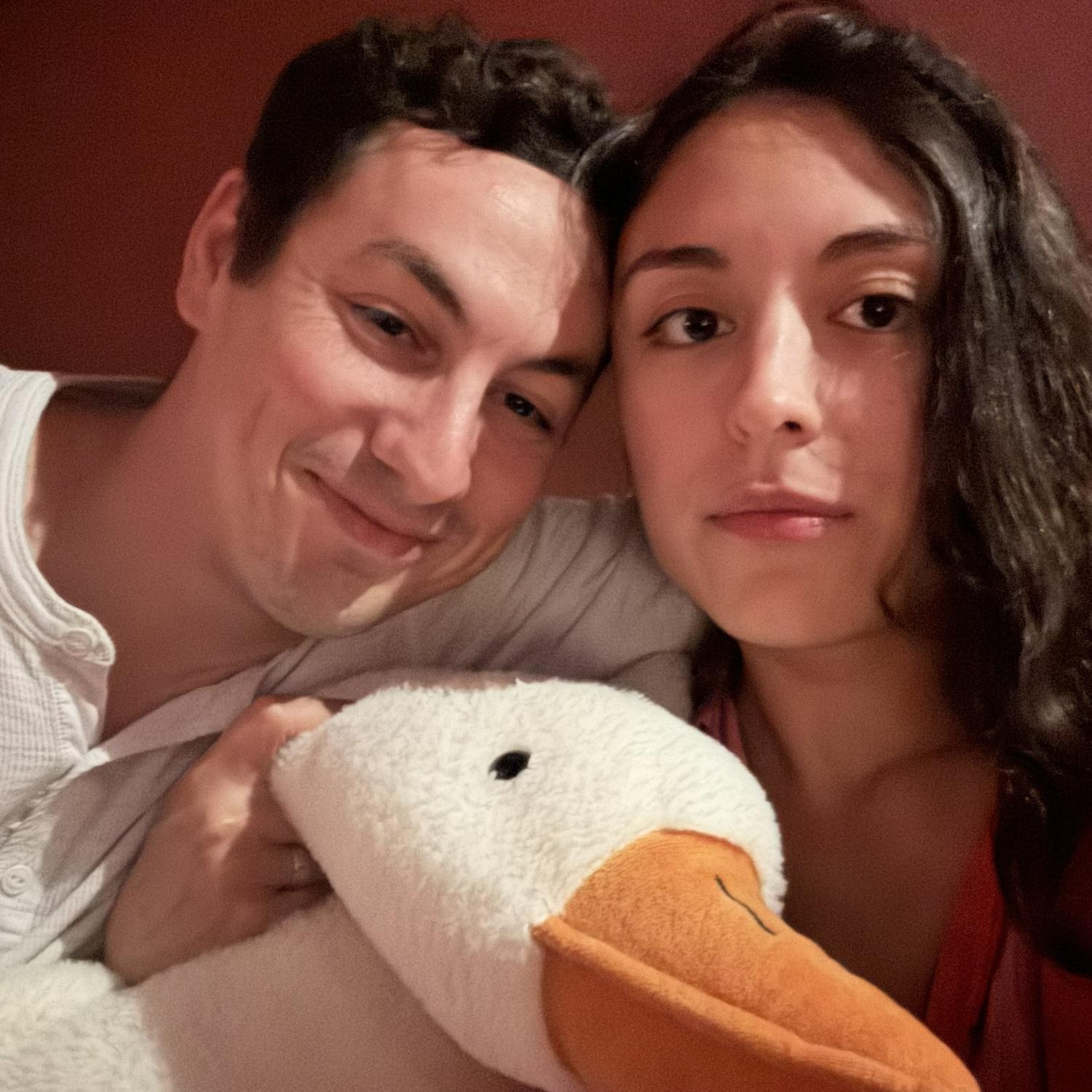 Silly Geese in Singapore