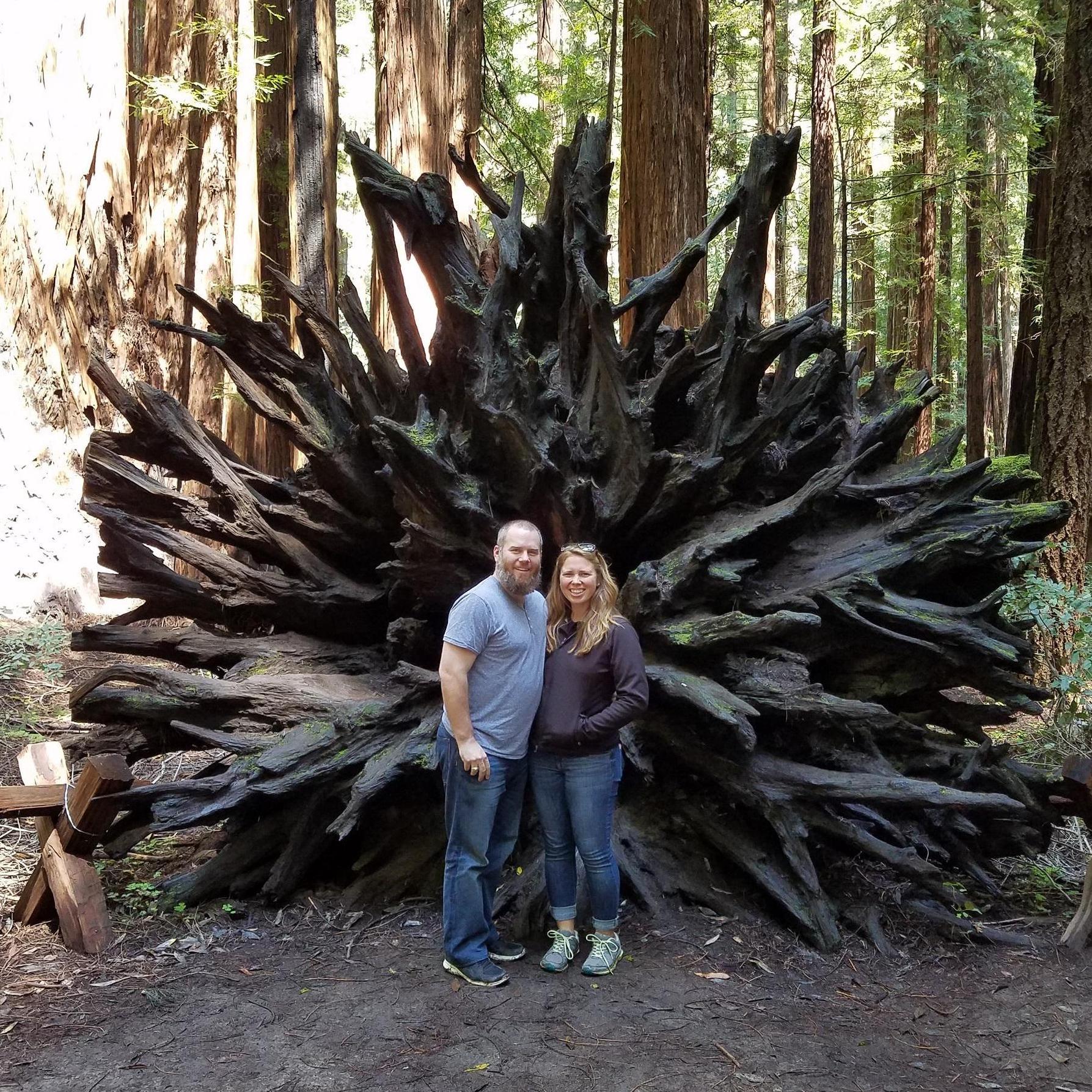 Armstrong Redwoods State Natural Reserve