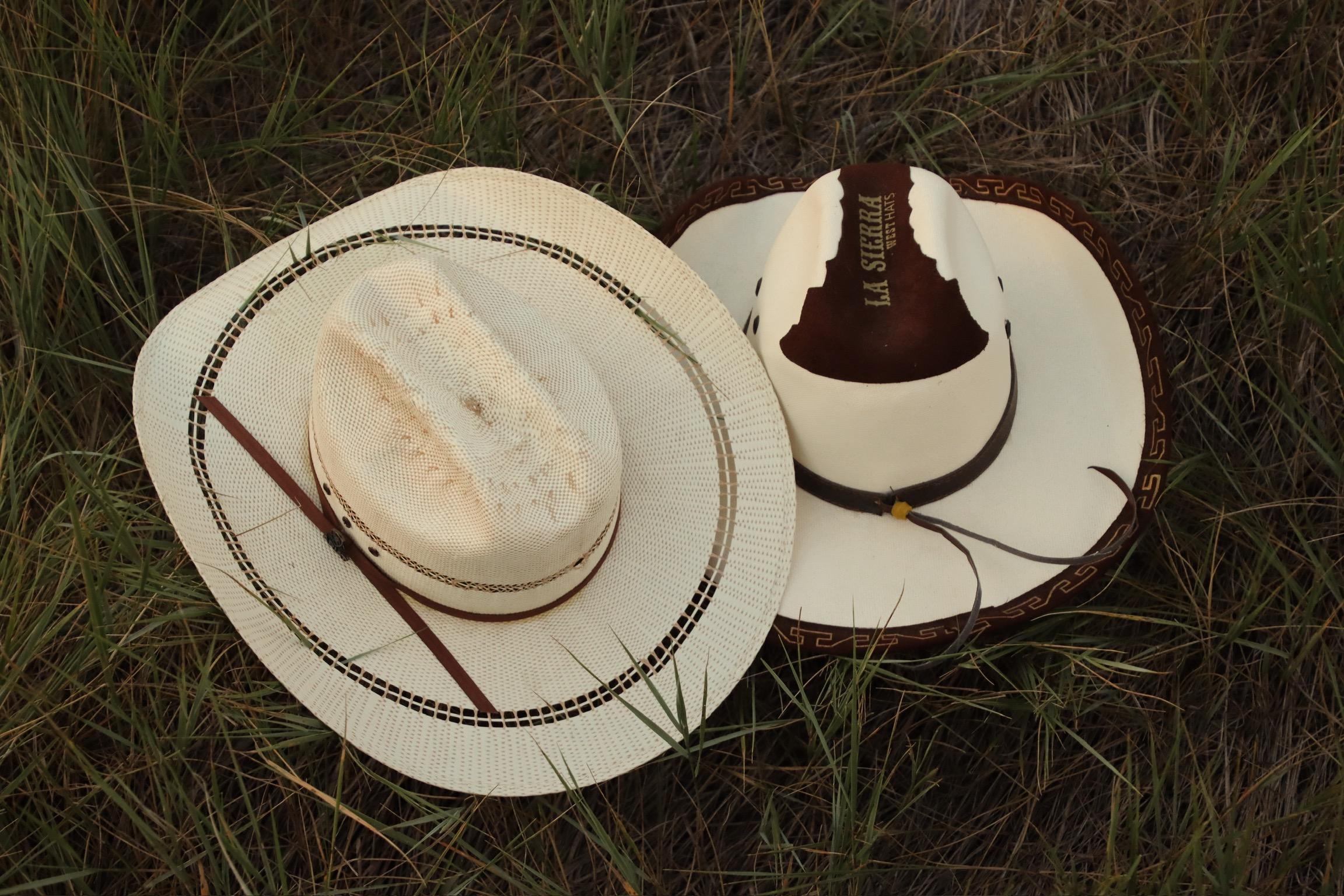 59b42c79-19fc-4f3d-85fe-d2b341cc4b0e