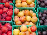 The Sebastopol Farmers' Market