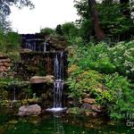 Charley Creek Gardens Parking