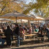 The Olde Mecklenburg Brewery & Biergarten