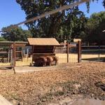 Rancho San Antonio Open Space Preserve
