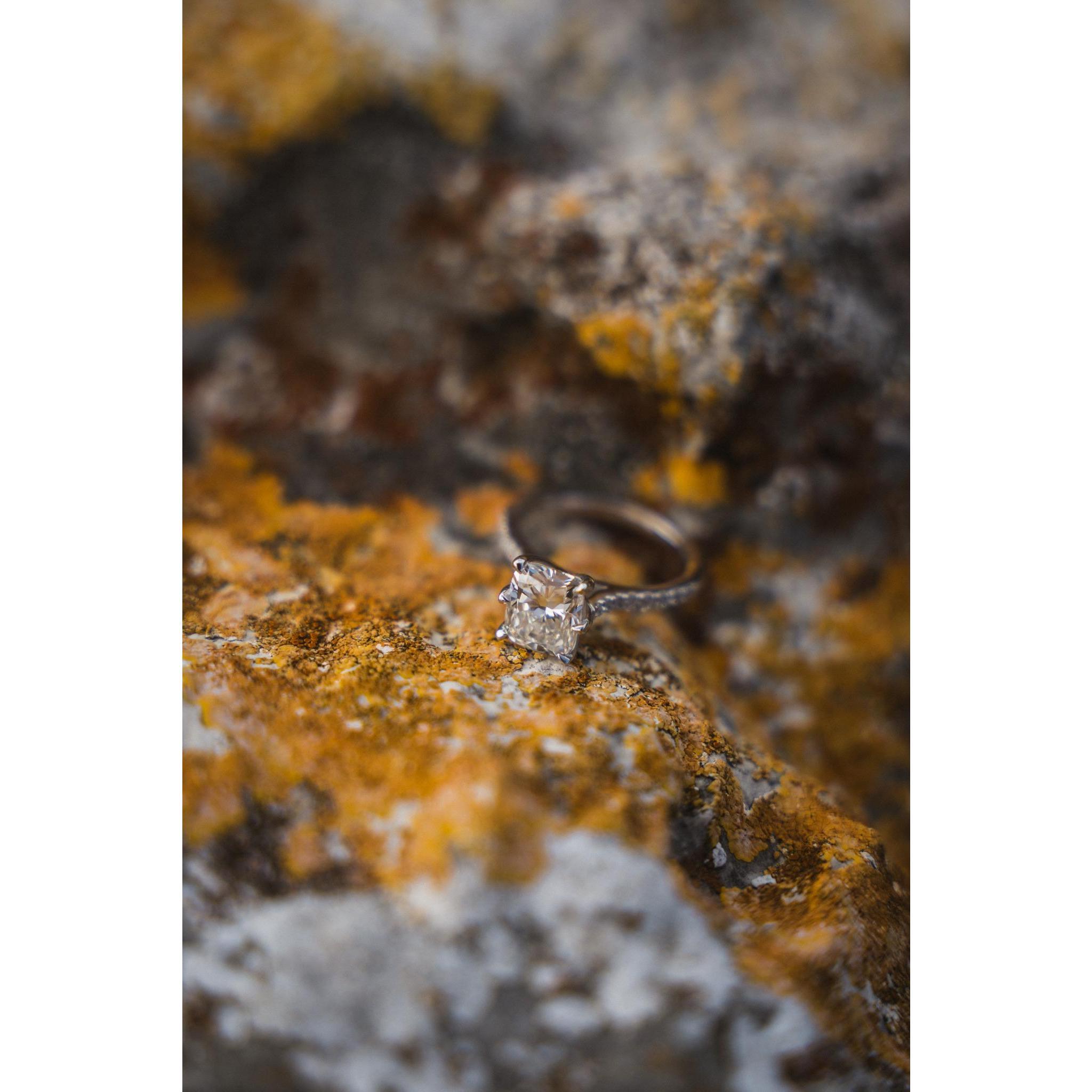 The Proposal - 8.28.2021