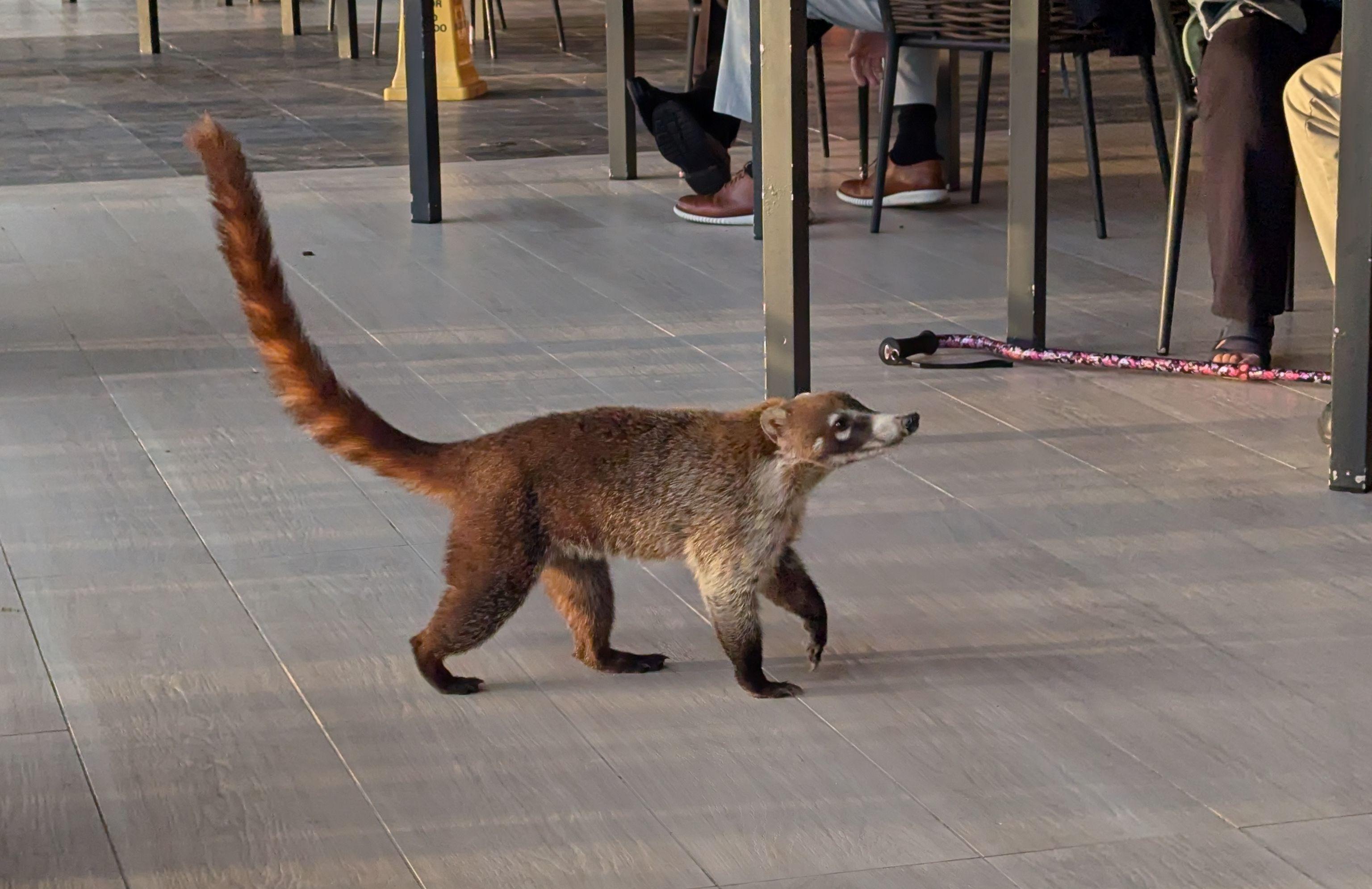 The Wedding Website of Katelyn Smolski and Connor Pokorny