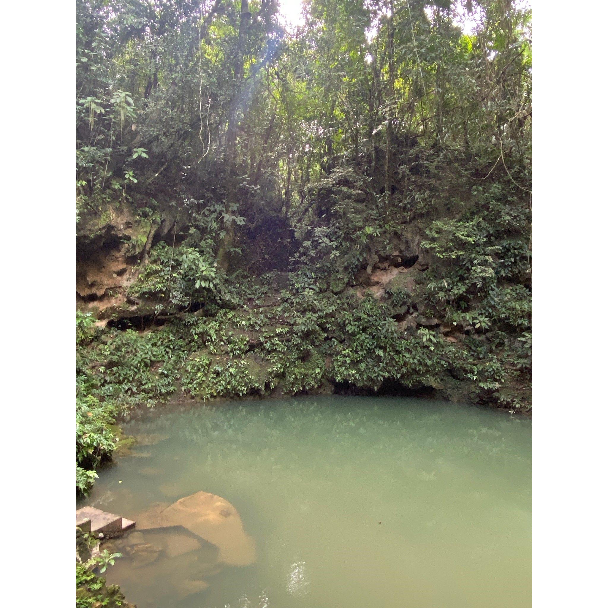 Swim Hole near Jaguar Creek