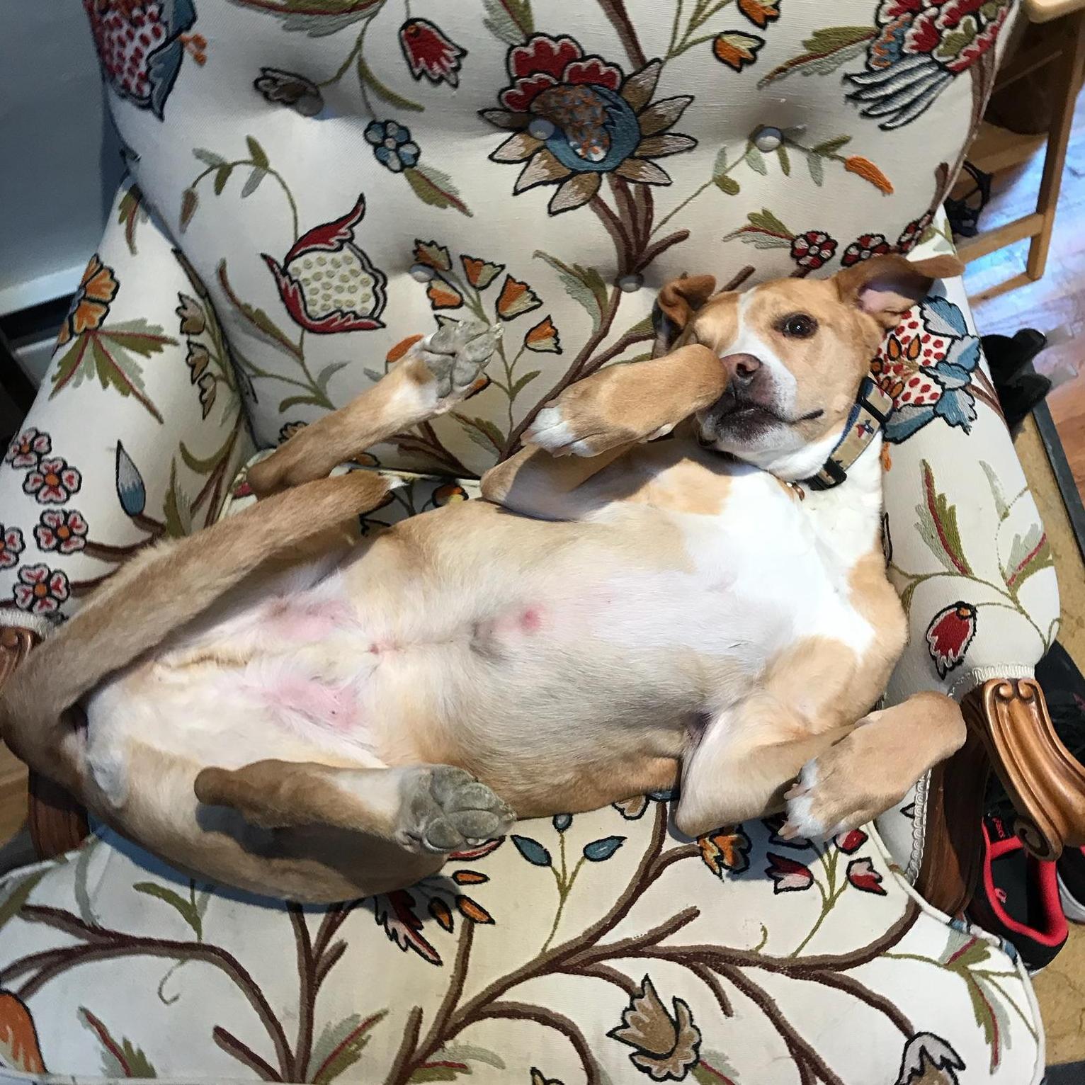 Relaxing before the big day!