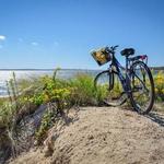 Shining Sea Bikeway