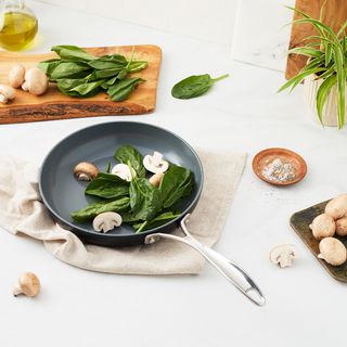 Release Nonstick Fry Pan