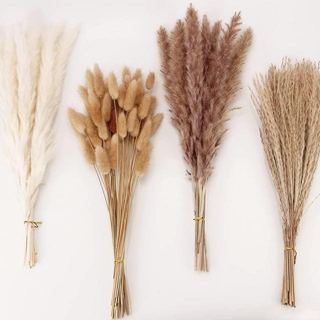 Dried Pampas Grass Decor, 100 PCS Pampas Grass Contains Bunny Tails Dried Flowers, Reed Grass Bouquet for Wedding Boho Flowers Home Table Decor, Rustic Farmhouse Party (White and Brown)