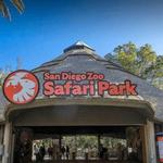San Diego Zoo Safari Park
