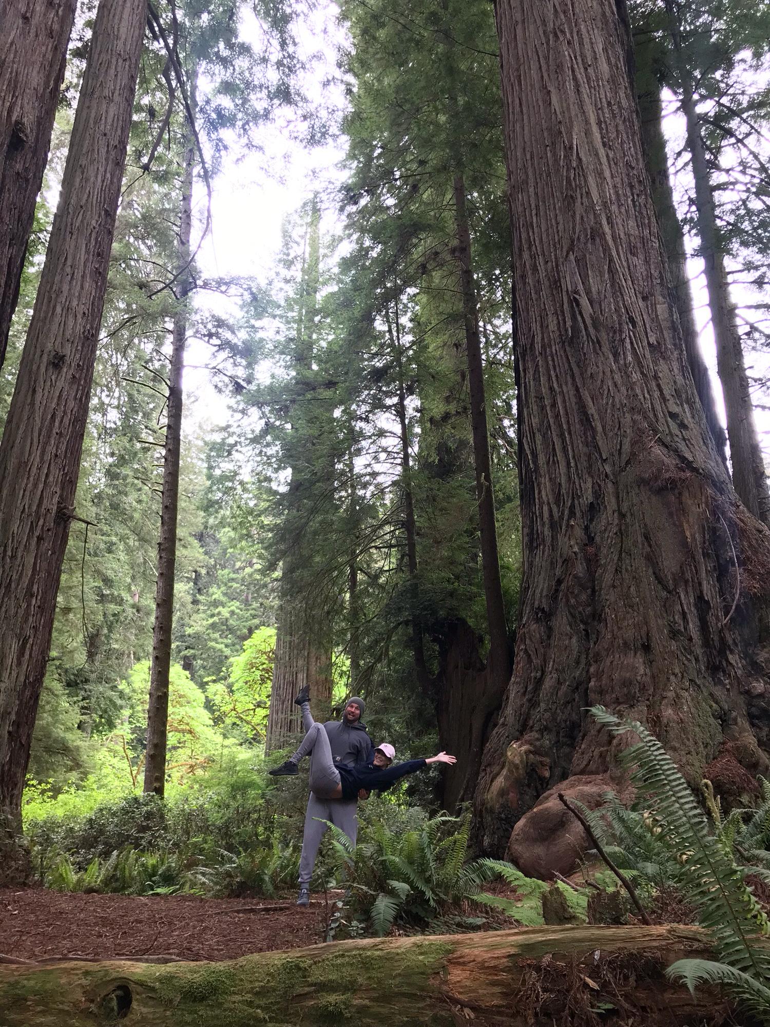 Visiting the Redwoods!