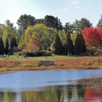 The Morton Arboretum