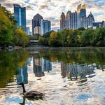 Piedmont Park- Atlanta Dogwood Festival!