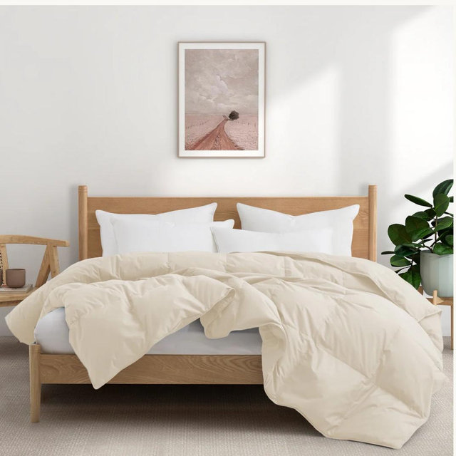 All Season Organic Cotton Comforter Filled with Down and Feather Fiber