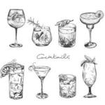 Drink Recommendations