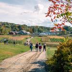 Cider Hill Farm