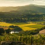 Sonoma / Napa County Wineries & Breweries