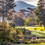 Golden Gate Park