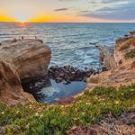 Sunset Cliffs