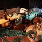 Houston Museum of Natural Science