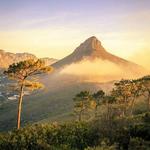 Lion's Head