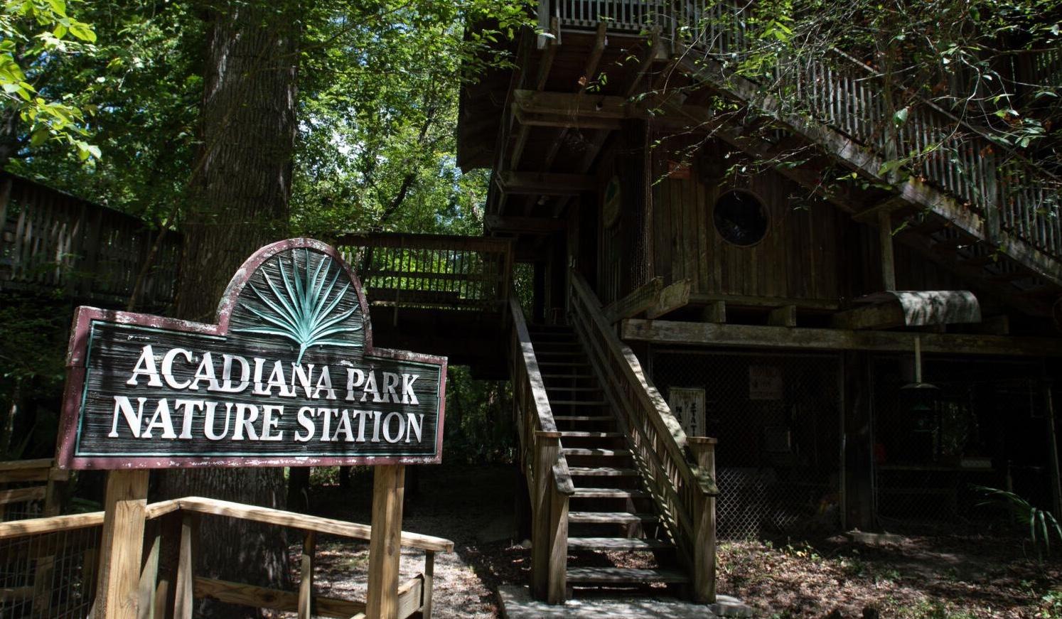 The Wedding Website of Day Tinubu and Jay Jannetto