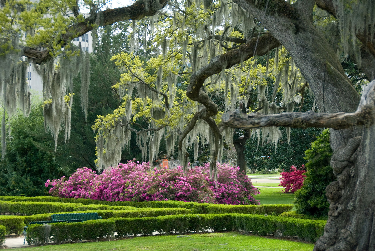 The Wedding Website of Allie Kessel and Mike O'Hara